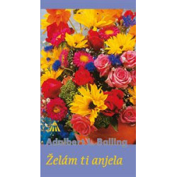 Želám ti anjela /1,50/